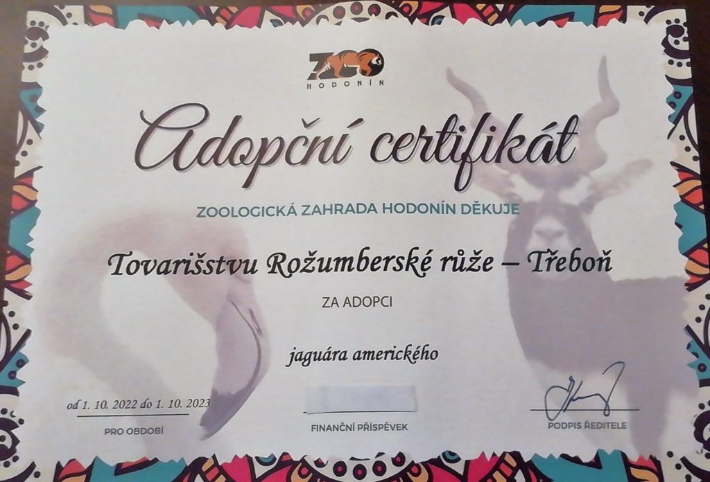 Náš spolek se rozhodl stát adoptivním rodičem!